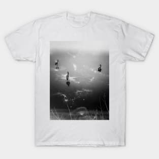 Ducks on a frozen lake T-Shirt